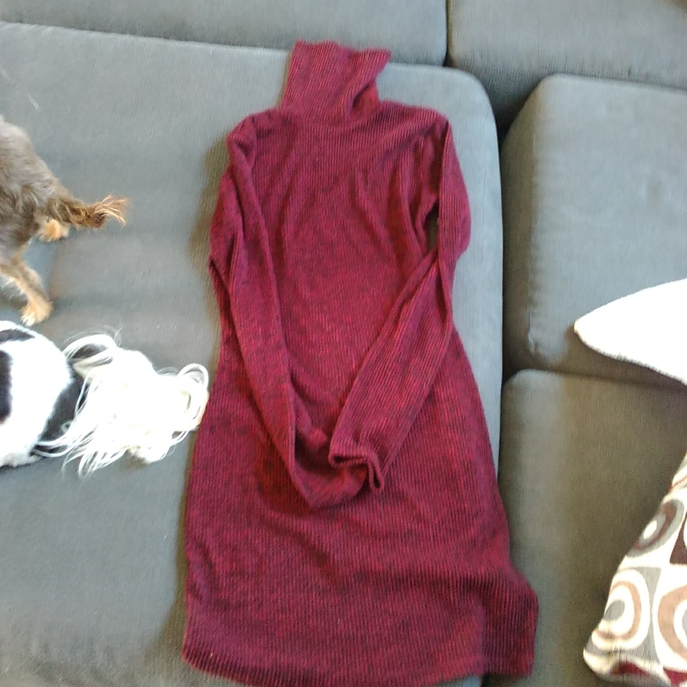 Black and red turtleneck sweater dress